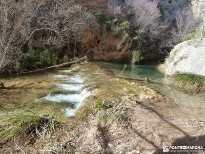 Rincón de Ademuz;campos de lavanda molina de aragon turismo blog senderismo